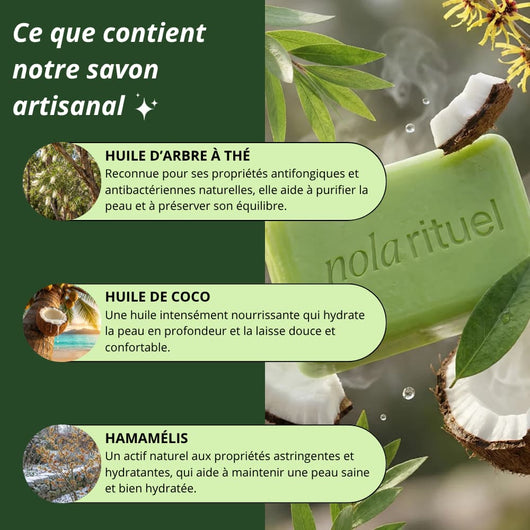 Nola Savon Purifiant Antifongique